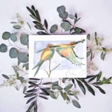 A watercolor painting of a bird with eucalyptus leaves, available as European Bee-Eaters Print.