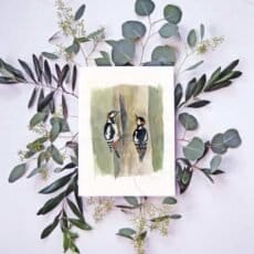 Two Spotted Woodpeckers on a branch with eucalyptus leaves, available as giclee print wall art at Portugal Shop.