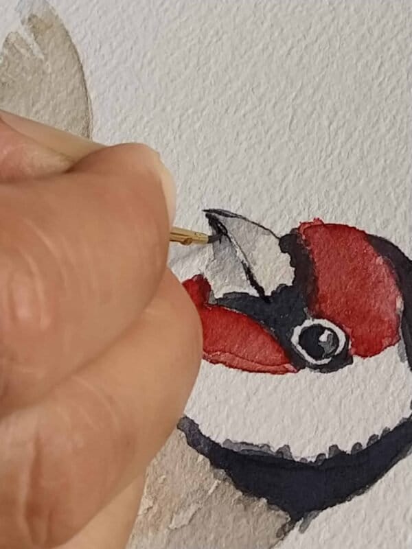 A person is creating a European Goldfinch Print of a bird with watercolors.