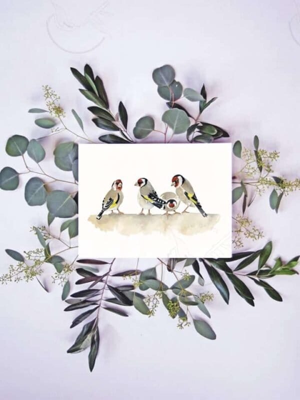 A European Goldfinch Print of a group of birds sitting on eucalyptus leaves.