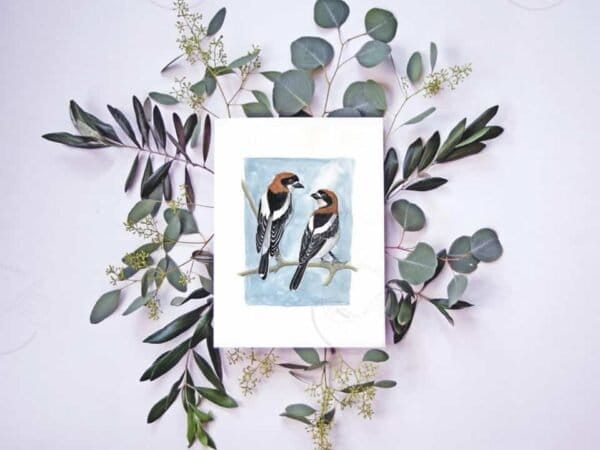 Woodchat Shrike Print: Two birds sitting on a branch with eucalyptus leaves.