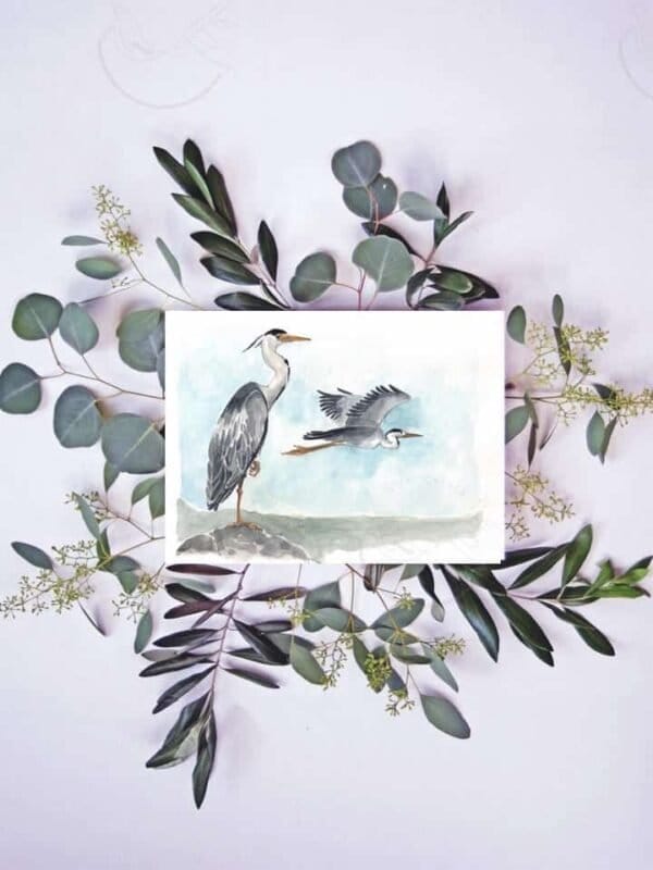 A watercolor painting of a Grey heron and eucalyptus leaves available as a wall art print or giclee print.