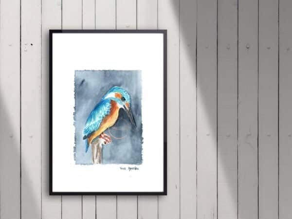 Kingfisher print - wall art print - fine art print - Kingfisher print.