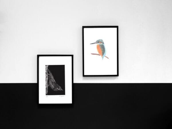 Two black and white framed Print Collection prints of a kingfisher on a branch.
