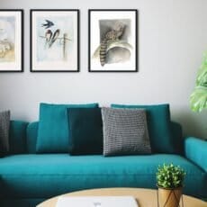 A living room with a turquoise couch and a coffee table decorated with Print Collection from Portugal Shop.