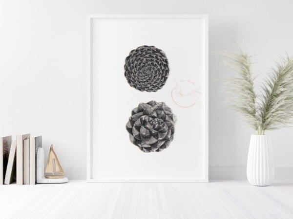A black and white framed pine cone print.