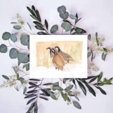 This Red Partridges Print features two birds painted with watercolors perched on eucalyptus leaves.