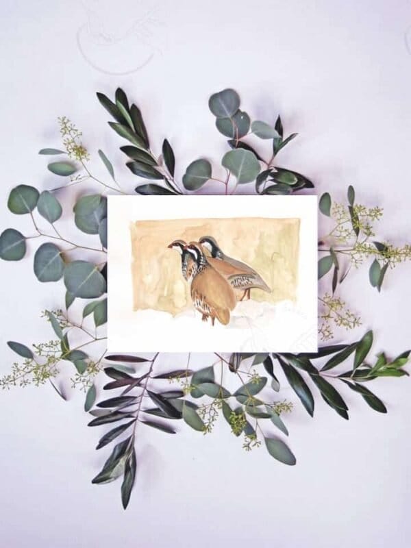 This Red Partridges Print features two birds painted with watercolors perched on eucalyptus leaves.