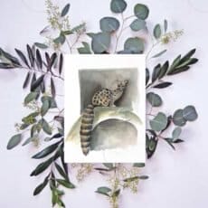 A watercolor painting of a leopard with eucalyptus leaves, available as a Common Genet Print for your wall art collection.