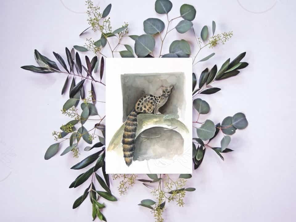 A watercolor painting of a leopard with eucalyptus leaves, available as a Common Genet Print for your wall art collection.