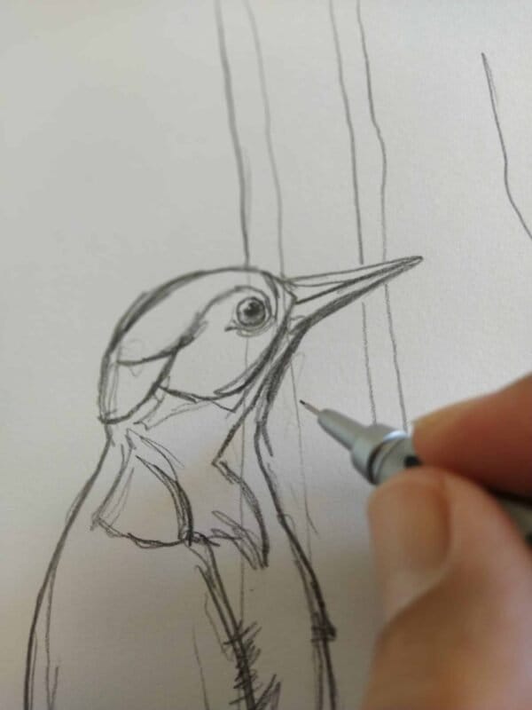 A person in Portugal Shop is drawing a Spotted Woodpecker Print on a piece of paper, creating an art print suitable for wall art.