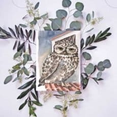 An owl perches gracefully on top of vibrant eucalyptus leaves in this stunning little owl print, now available at Portugal Shop. Perfect for adding a touch of nature to your space.