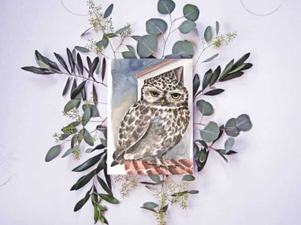 An owl perches gracefully on top of vibrant eucalyptus leaves in this stunning little owl print, now available at Portugal Shop. Perfect for adding a touch of nature to your space.
