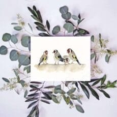 A European Goldfinch Print of a group of birds sitting on eucalyptus leaves.