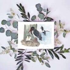 A fine art Black Stork Print of a stork on a branch with eucalyptus leaves.