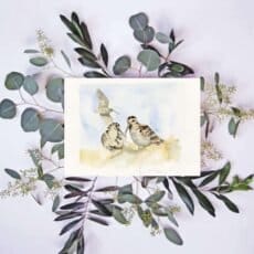 A "Lady of the Woods" print of two birds on eucalyptus leaves.
