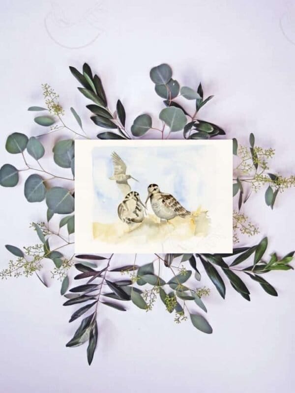 A "Lady of the Woods" print of two birds on eucalyptus leaves.