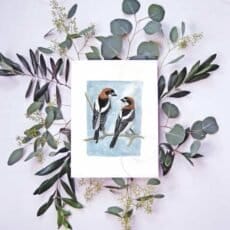 Woodchat Shrike Print: Two birds sitting on a branch with eucalyptus leaves.