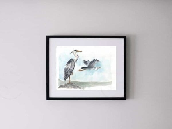 A Grey heron print of a heron and a gull, perfect for wall art.