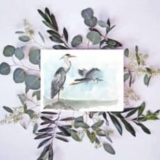 A watercolor painting of a Grey heron and eucalyptus leaves available as a wall art print or giclee print.