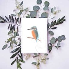 An art print of a Common kingfisher sitting on a branch with eucalyptus leaves, available at Portugal Shop.
