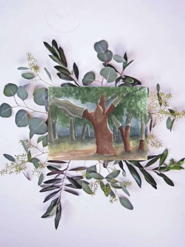 A Cork oak woodland Print of a tree with eucalyptus leaves, creating stunning wall art.
