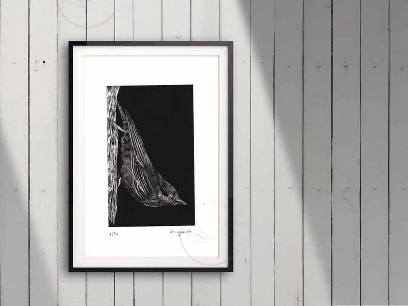 A Wood Nuthatch Print hangs on a wall.