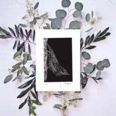 A stunning black and white Wood Nuthatch Print capturing the elegance of a tree adorned with eucalyptus leaves.