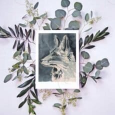 A black and white Red Fox Print with eucalyptus leaves available at Portugal Shop. Perfect for adding to your wall art collection.