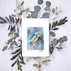 A fine art Kingfisher print with eucalyptus leaves.