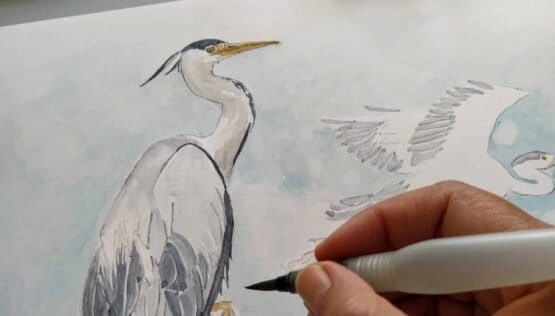 A person is creating a detailed fine art print of a grey heron using a pen.